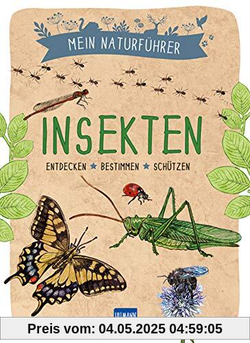 Mein Naturführer: Insekten