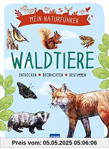 Mein Naturführer: Waldtiere