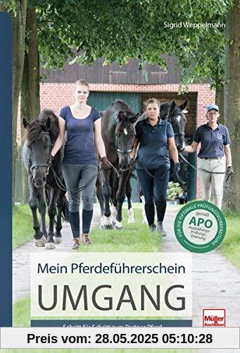 Mein Pferdeführerschein Umgang: Schritt für Schritt zum Partner Pferd