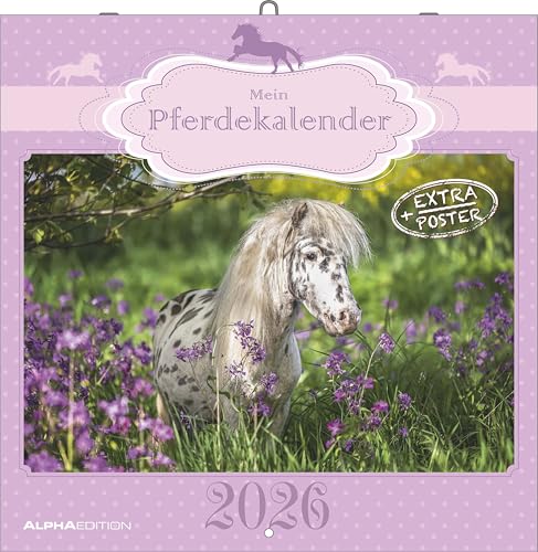 Mein Pferdekalender 2026 - Broschürenkalender 30x30 cm (30x60 geöffnet) - Kalender mit Platz für Notizen - Bildkalender - Wandplaner - Wandkalender von ALPHA EDITION