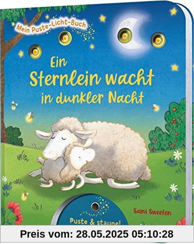 Mein Puste-Licht-Buch: Ein Sternlein wacht in dunkler Nacht: Gute-Nacht-Buch mit Puste-Licht und LED-Lämpchen