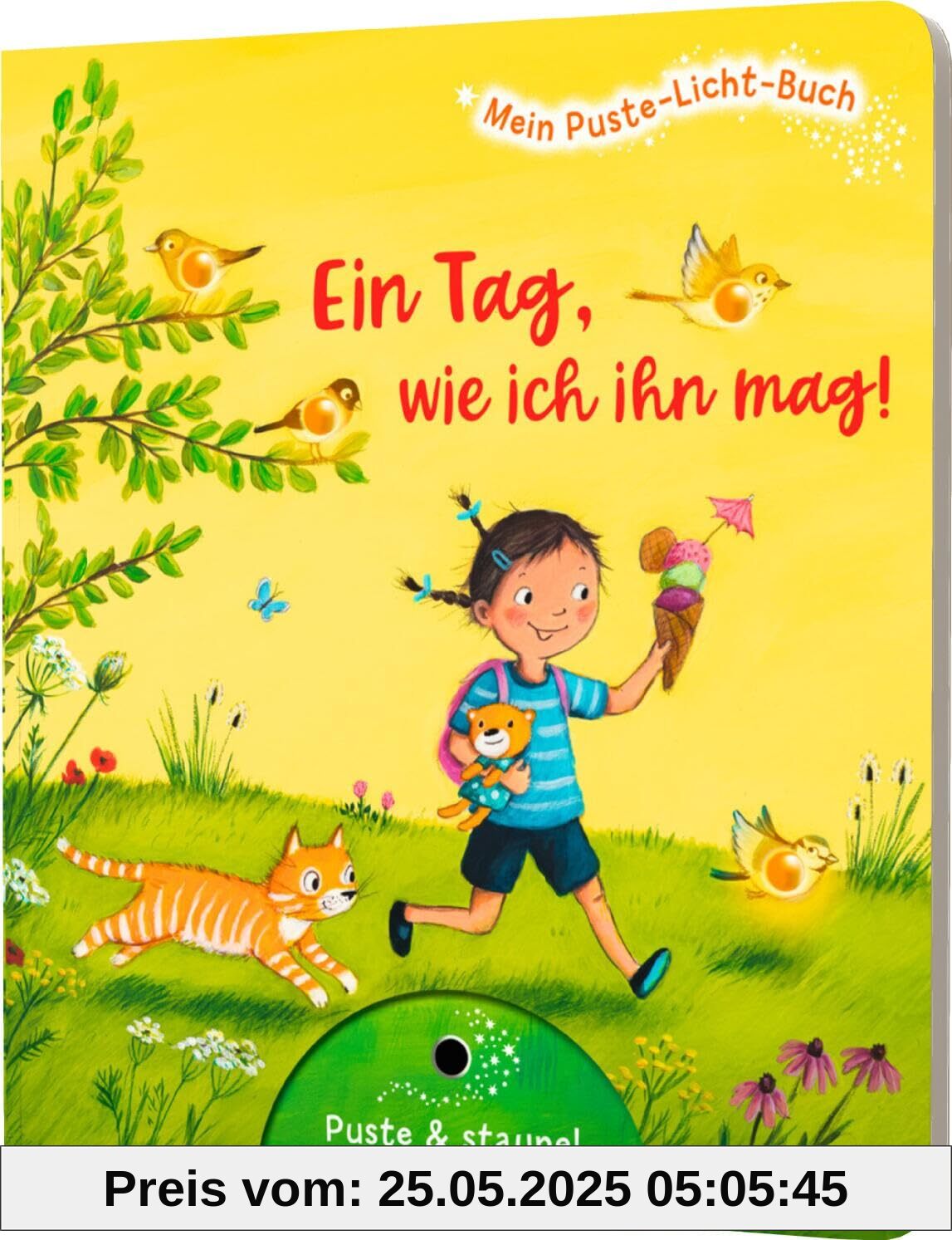 Mein Puste-Licht-Buch: Ein Tag, wie ich ihn mag!: Suchbuch mit Puste-Licht und LED-Lämpchen
