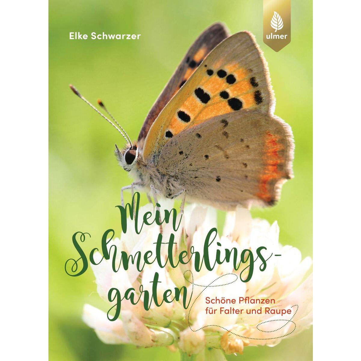 Mein Schmetterlingsgarten von Ulmer Eugen Verlag