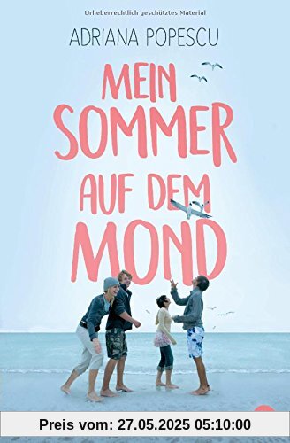 Mein Sommer auf dem Mond