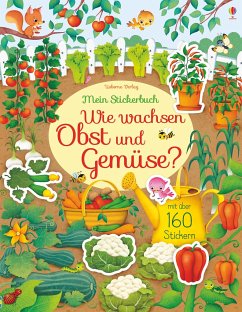 Mein Stickerbuch: Wie wachsen Obst und Gemüse? von Usborne Verlag