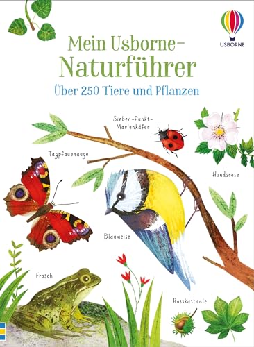 Mein Usborne-Naturführer: Über 250 Tiere und Pflanzen – Bestimmungsbuch für Kinder ab 6 Jahren von Usborne Publishing