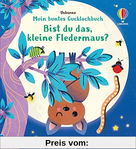 Mein buntes Gucklochbuch: Bist du das, kleine Fledermaus?: ab 6 Monaten