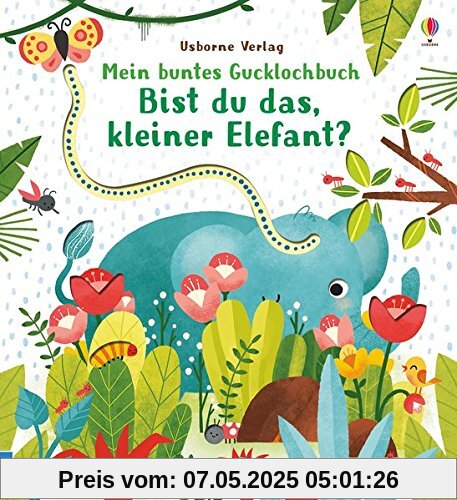 Mein buntes Gucklochbuch: Bist du das, kleiner Elefant?: ab 6 Monaten