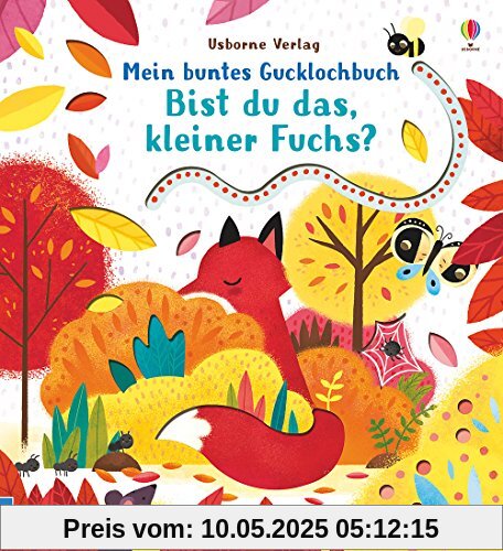 Mein buntes Gucklochbuch: Bist du das, kleiner Fuchs?: ab 6 Monaten