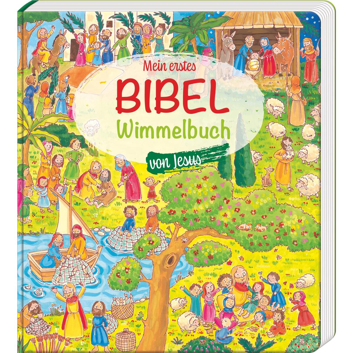 Mein erstes Bibel-Wimmelbuch von Jesus (1 Stück) von Butzon und Bercker