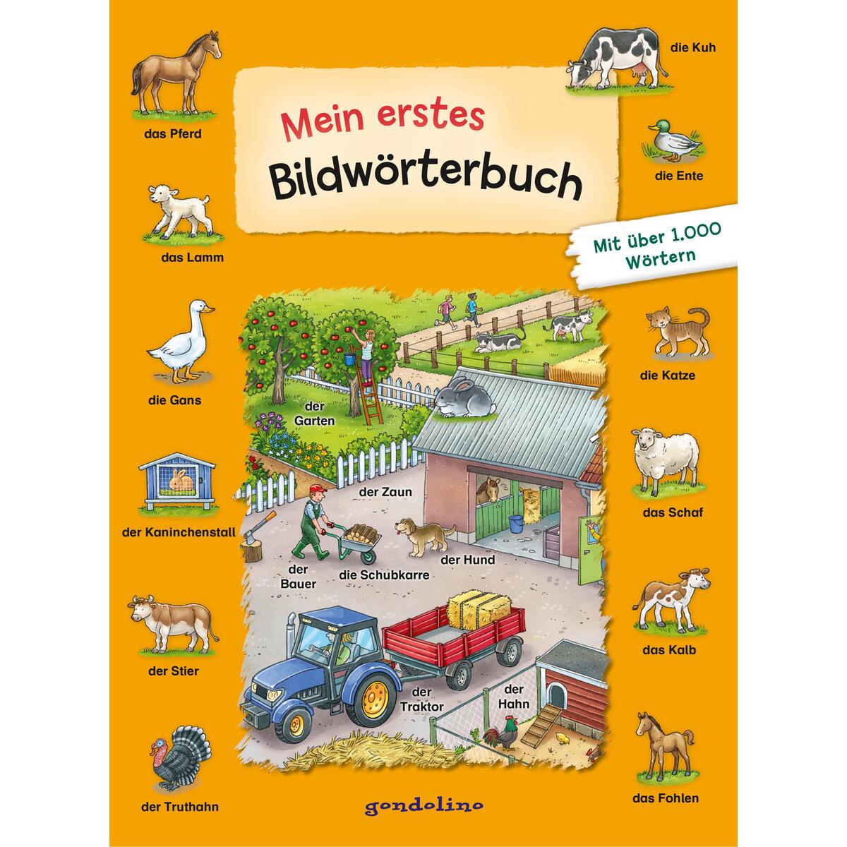 Mein erstes Bildwörterbuch Mein erstes Bildwörterbuch von Gondolino