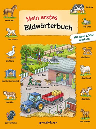 Mein erstes Bildwörterbuch: Wörterbuch zum Deutsch lernen mit über 1000 Begriffen für Kinder ab 3 Jahren Mein erstes Bildwörterbuch: Wörterbuch zum Deutsch lernen mit über 1000 Begriffen für Kinder ab 3 Jahren