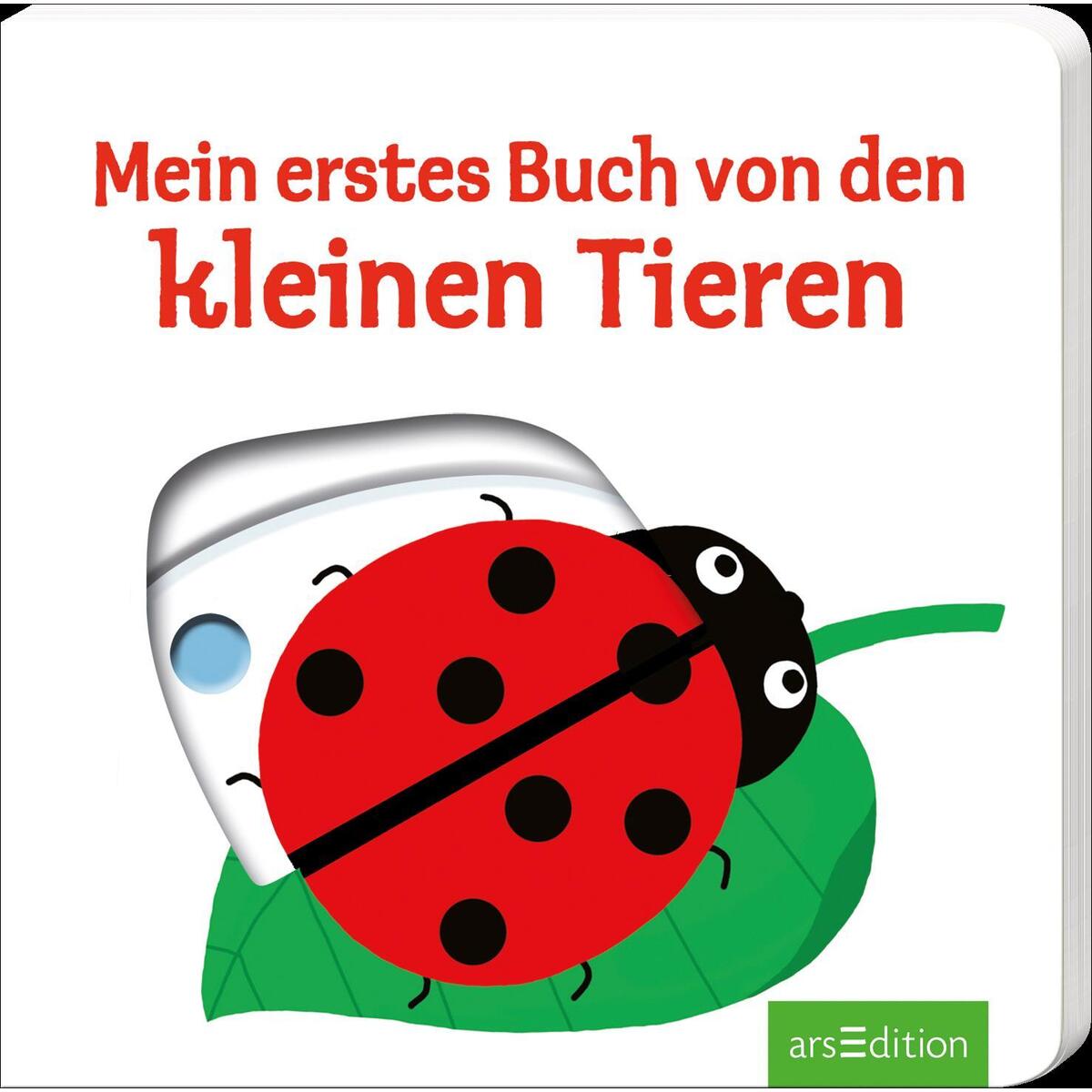 Mein erstes Buch von den kleinen Tieren von Ars Edition GmbH