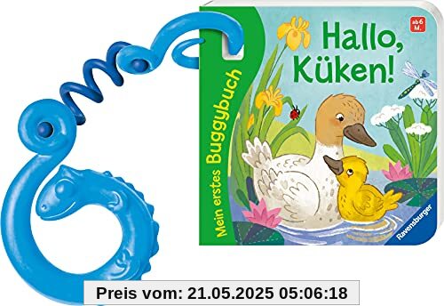 Mein erstes Buggybuch: Hallo, Küken!