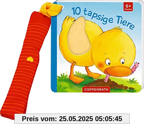 Mein erstes Fühl-Buch für den Buggy: 10 tapsige Tiere (Fühlen und die Welt begreifen)