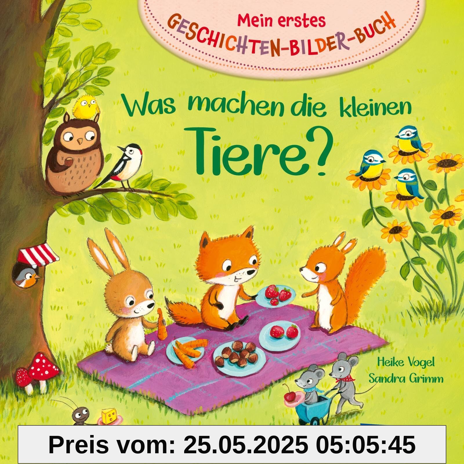 Mein erstes Geschichten-Bilder-Buch: Was machen die kleinen Tiere? Mein erstes Geschichten-Bilder-Buch: Was machen die kleinen Tiere?