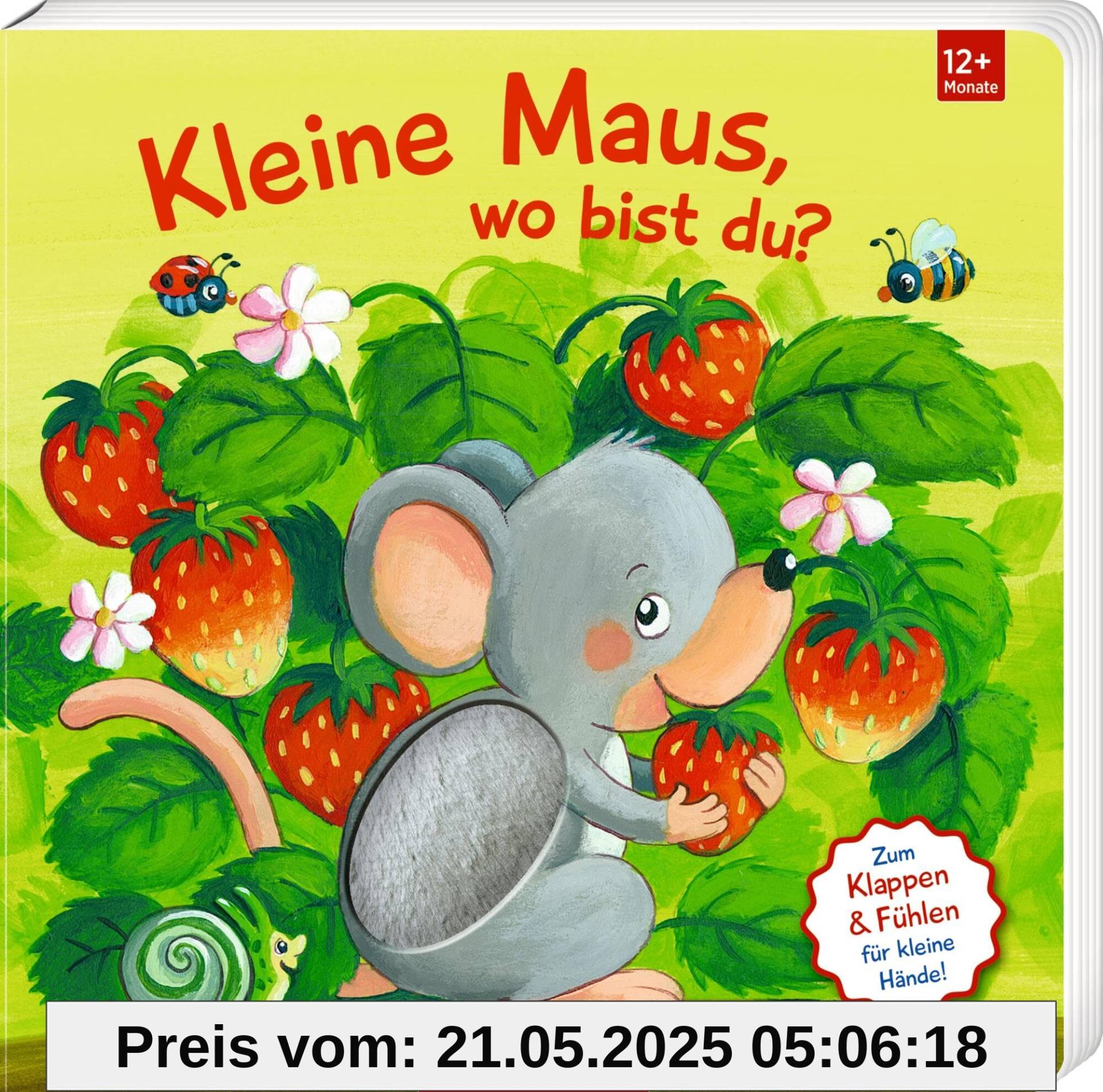 Mein erstes Guckloch-Fühlbuch: Kleine Maus, wo bist du?: Mit Fühlteilen und großen Klappen: Fühlbuch mit großen Klappen für Kinder ab 12 Monate (Fühlen und die Welt begreifen)