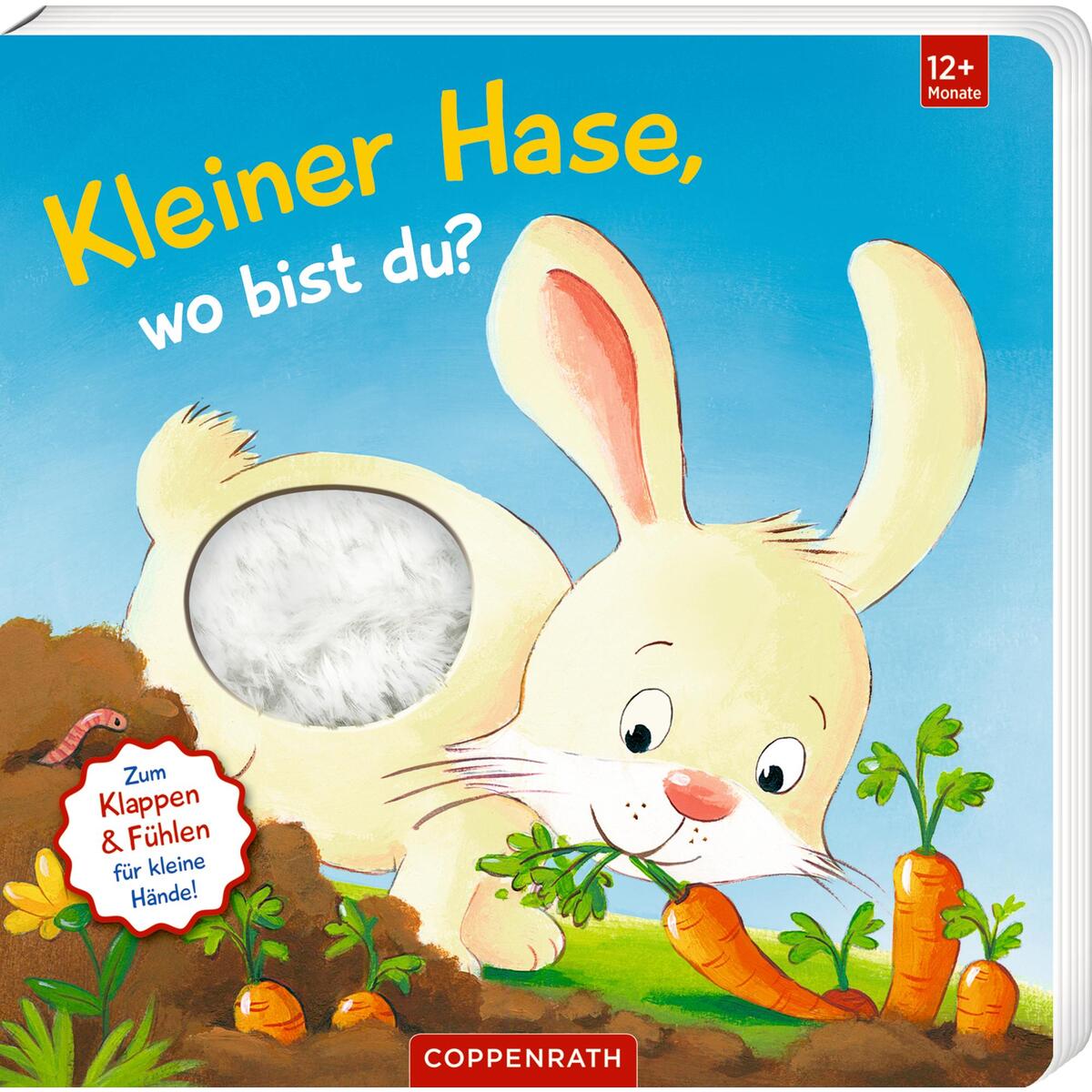 Mein erstes Guckloch-Fühlbuch: Kleiner Hase, wo bist du? Mein erstes Guckloch-Fühlbuch: Kleiner Hase, wo bist du? von Coppenrath