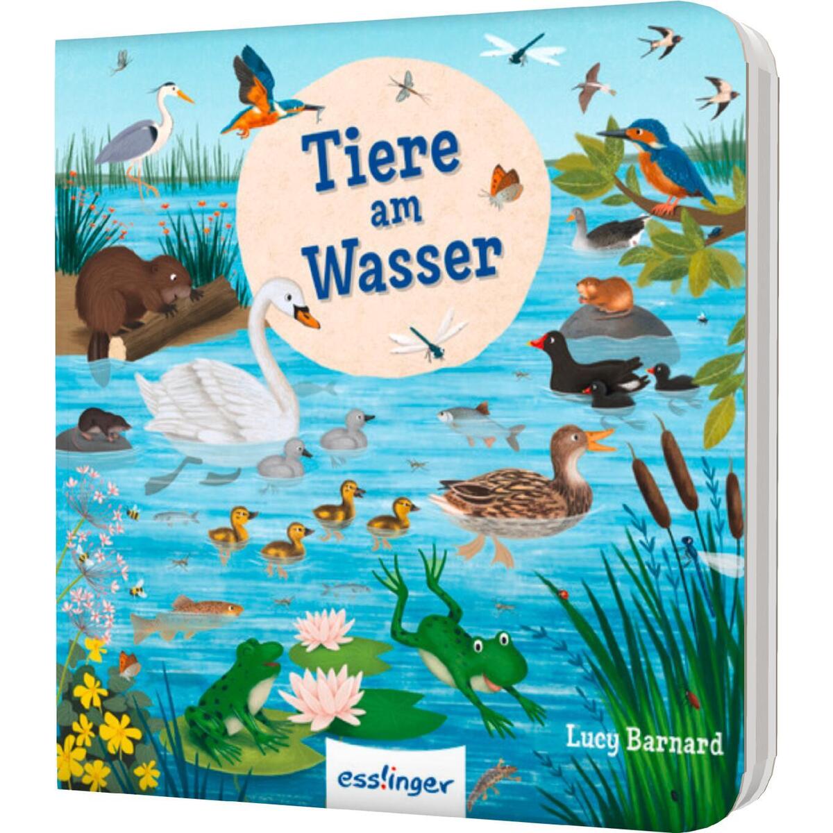 Mein erstes Natur-Wimmelbuch: Tiere am Wasser - Mini-Ausgabe Mein erstes Natur-Wimmelbuch: Tiere am Wasser - Mini-Ausgabe von Esslinger Verlag