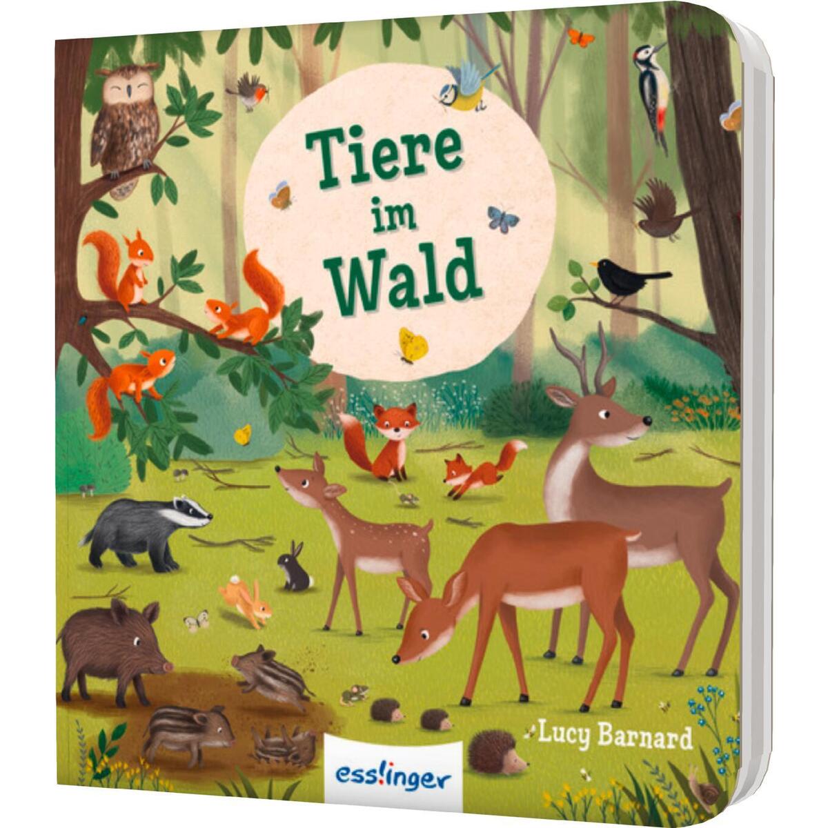 Mein erstes Natur-Wimmelbuch: Tiere im Wald - Mini-Ausgabe von Esslinger Verlag