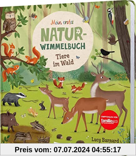 Mein erstes Natur-Wimmelbuch: Tiere im Wald: Mit Suchaufgaben & kurzer Geschichte