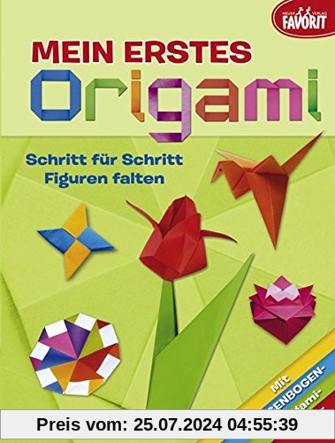 Mein erstes Origami: Schritt für Schritt Figuren falten
