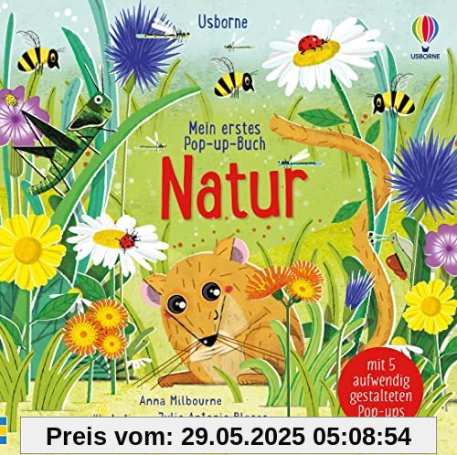 Mein erstes Pop-up-Buch: Natur: mit Kindern ab 3 Jahren die Natur als Pop-Up-Buch entdecken (Meine ersten Pop-up-Bücher)