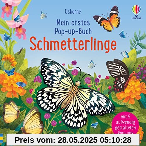 Mein erstes Pop-up-Buch: Schmetterlinge: mit 5 detailreichen Pop-up-Szenen (Meine ersten Pop-up-Bücher)