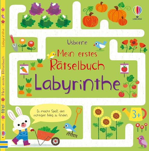 Mein erstes Rätselbuch: Labyrinthe: Mitmachbuch mit altersgerechten, vielfältigen Labyrinthen – ab 3 Jahren von Usborne Publishing