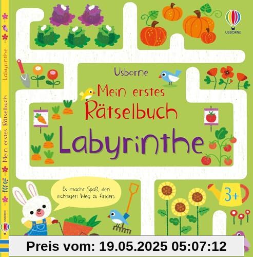 Mein erstes Rätselbuch: Labyrinthe: Mitmachbuch mit altersgerechten, vielfältigen Labyrinthen – ab 3 Jahren