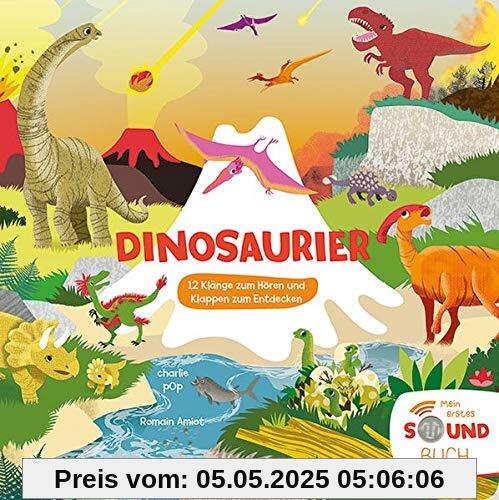 Mein erstes Soundbuch: Dinosaurier