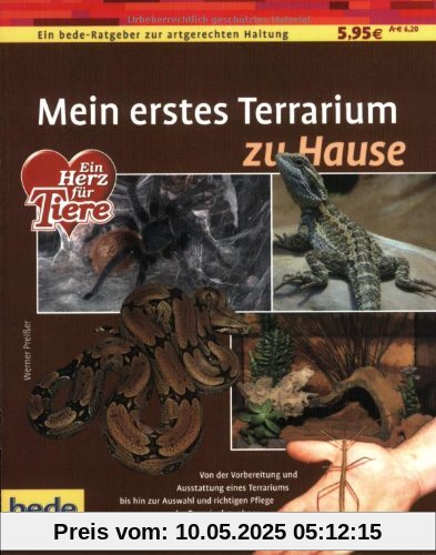 Mein erstes Terrarium zu Hause