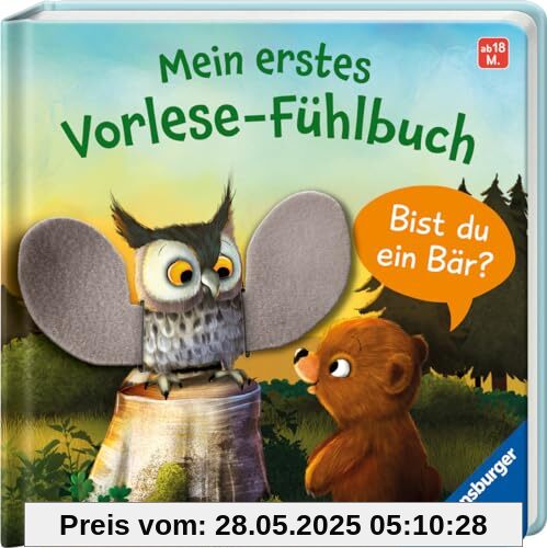 Mein erstes Vorlese-Fühlbuch: Bist du ein Bär?