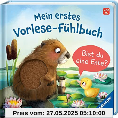Mein erstes Vorlese-Fühlbuch: Bist du eine Ente? Mein erstes Vorlese-Fühlbuch: Bist du eine Ente?