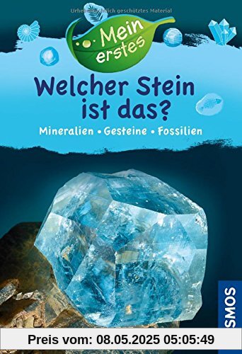 Mein erstes Welcher Stein ist das?: Mineralien, Gesteine, Fossilien