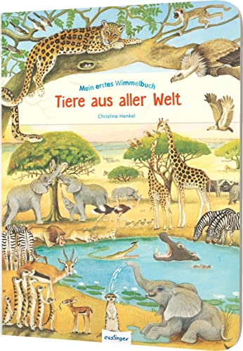 Mein erstes Wimmelbuch: Tiere aus aller Welt: Stabiles Pappbilderbuch für Kinder