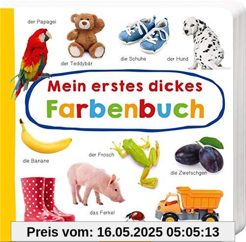 Mein erstes dickes Farbenbuch