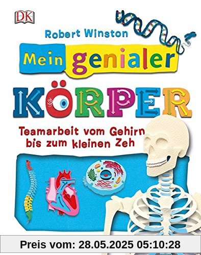 Mein genialer Körper: Teamarbeit vom Gehirn bis zum kleinen Zeh