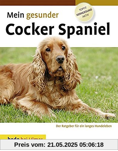 Mein gesunder Cocker Spaniel