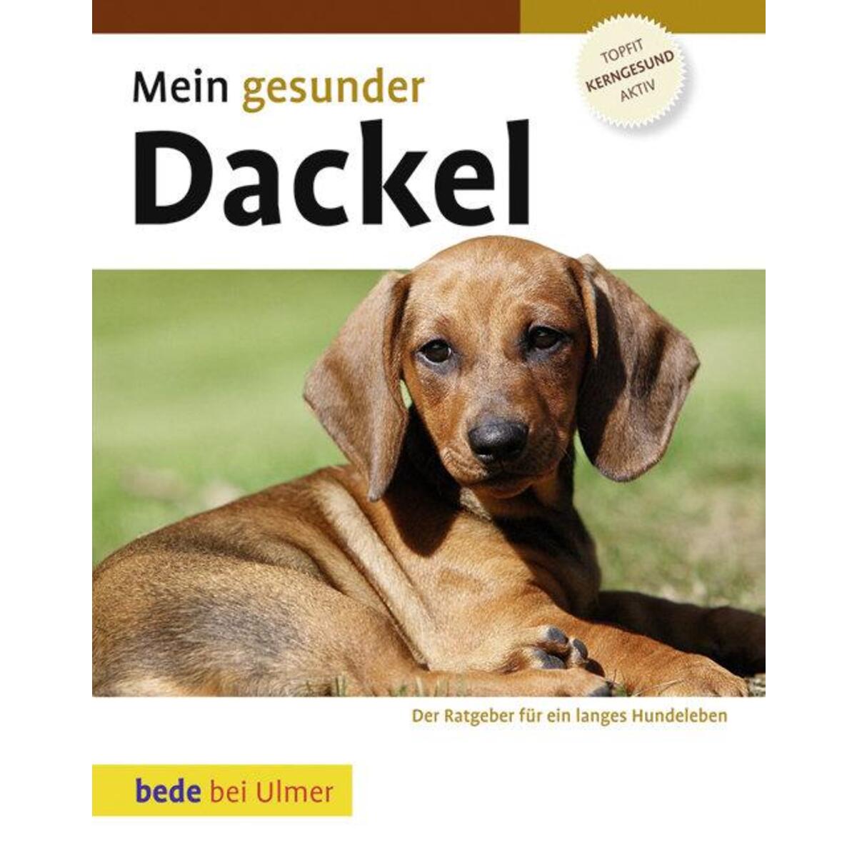 Mein gesunder Dackel von Ulmer Eugen Verlag