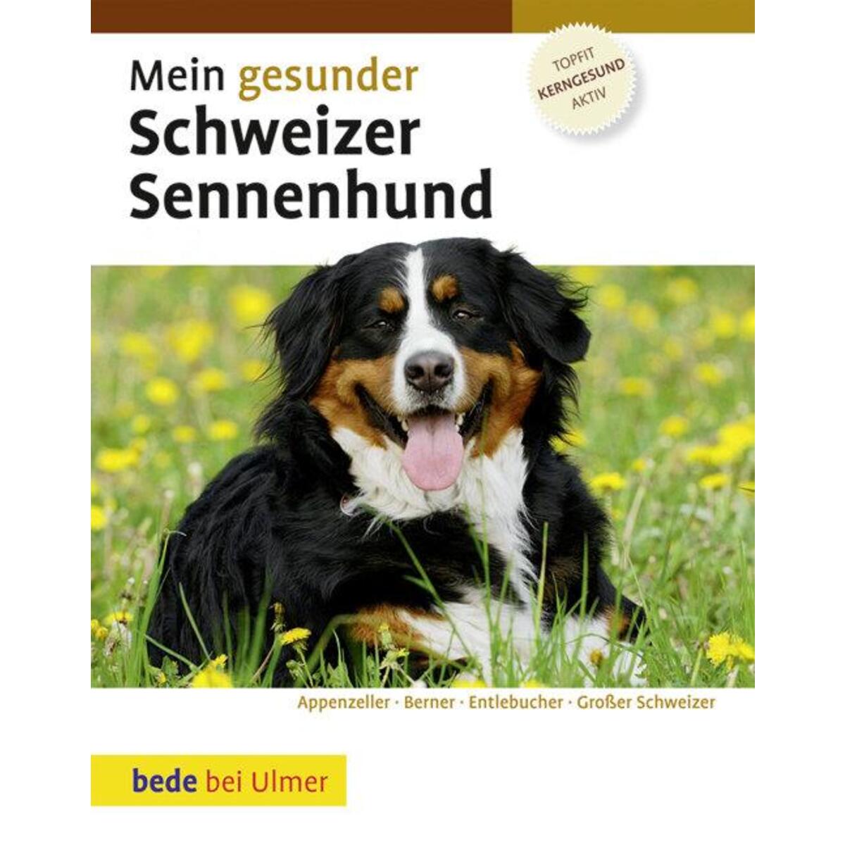 Mein gesunder Schweizer Sennenhund Mein gesunder Schweizer Sennenhund von Ulmer Eugen Verlag