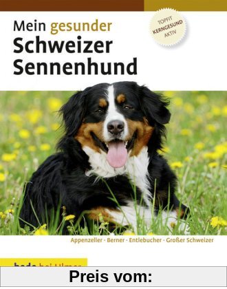 Mein gesunder Schweizer Sennenhund: Appenzeller - Berner - Entlebucher - Großer Schweizer