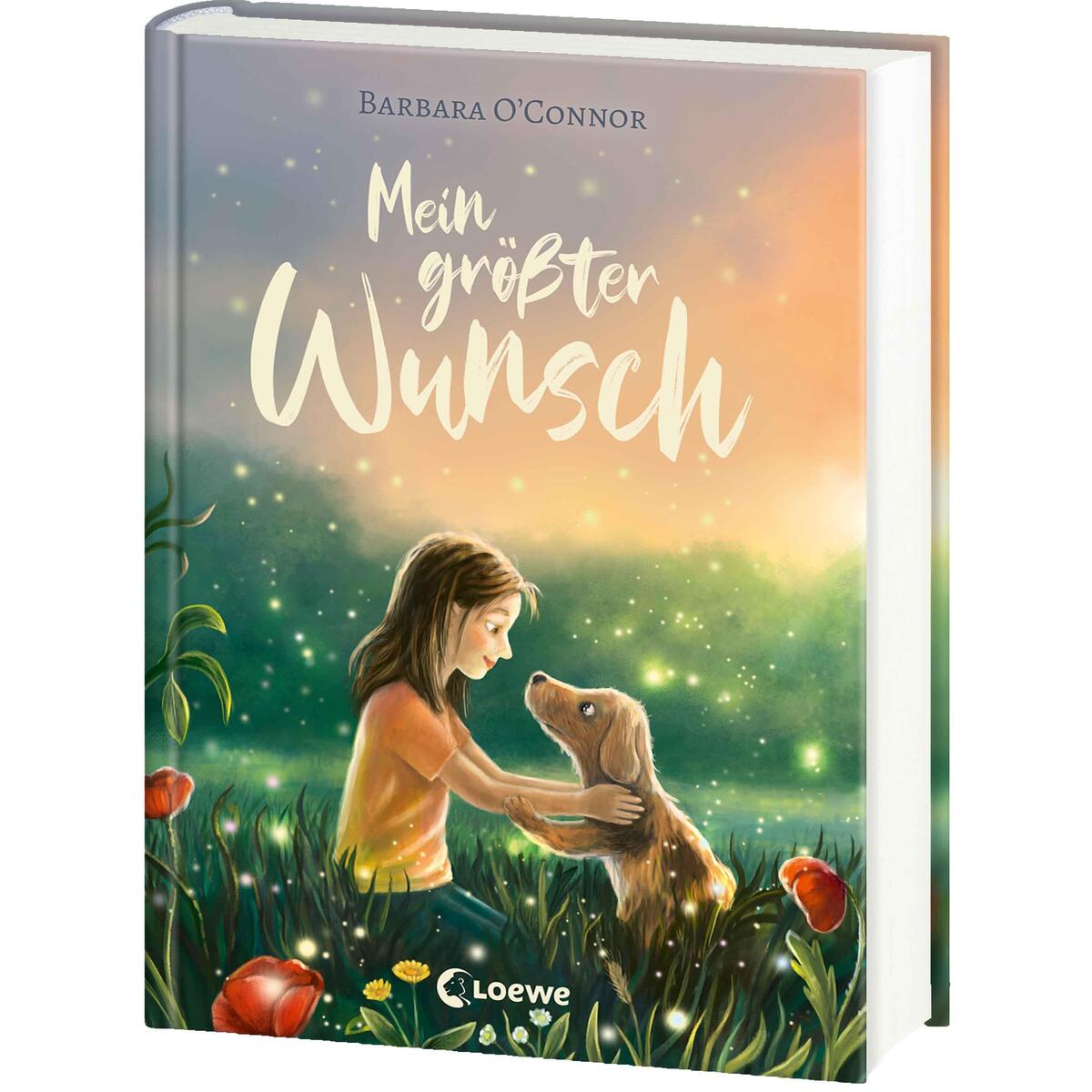 Mein größter Wunsch Mein größter Wunsch von Loewe Verlag GmbH