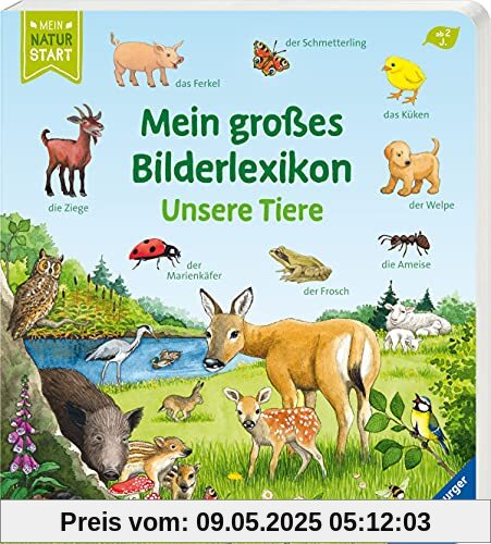 Mein großes Bilderlexikon: Unsere Tiere (Mein Naturstart)