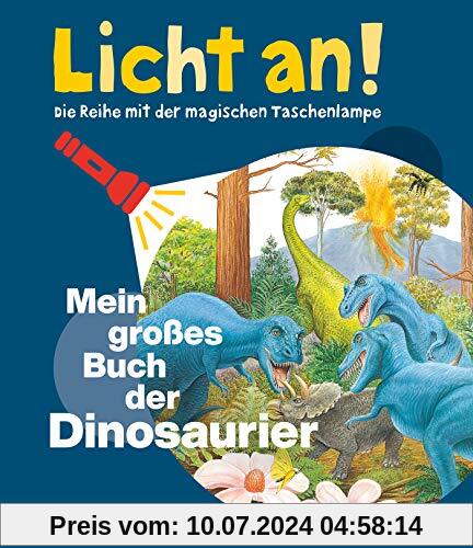 Mein großes Buch der Dinosaurier: Licht an! (Licht an! Die Reihe mit der magischen Taschenlampe)