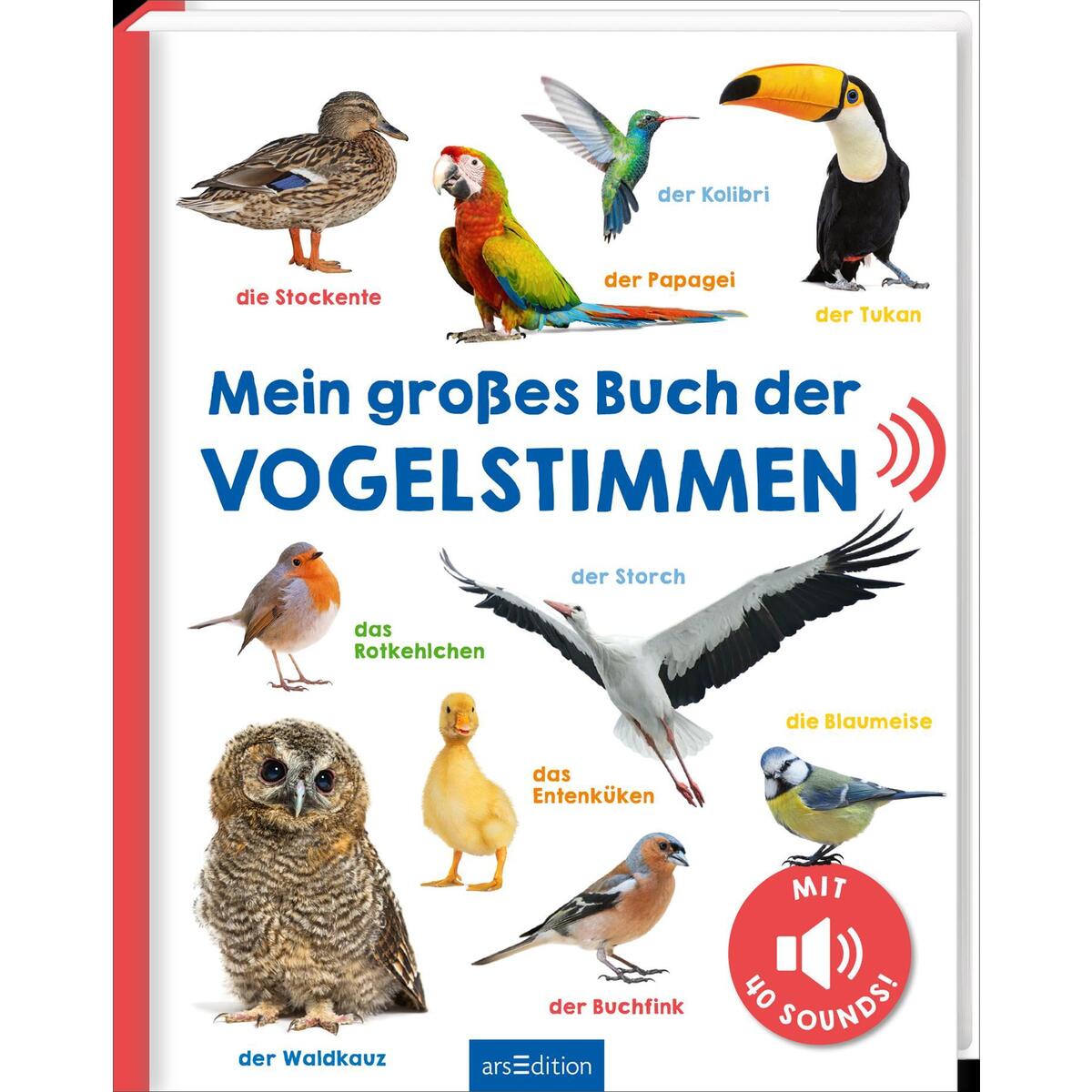 Mein großes Buch der Vogelstimmen Mein großes Buch der Vogelstimmen von Ars Edition GmbH