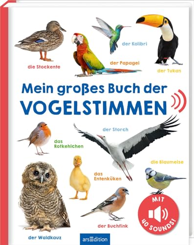 Mein großes Buch der Vogelstimmen: Mit 40 Sounds | Hochwertiges Soundbuch mit realistischen Sounds für Kinder ab 24 Monaten von arsEdition