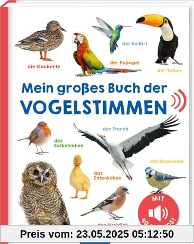 Mein großes Buch der Vogelstimmen: Mit 40 Sounds | Hochwertiges Soundbuch mit realistischen Sounds für Kinder ab 24 Monaten Mein großes Buch der Vogelstimmen: Mit 40 Sounds | Hochwertiges Soundbuch mit realistischen Sounds für Kinder ab 24 Monaten
