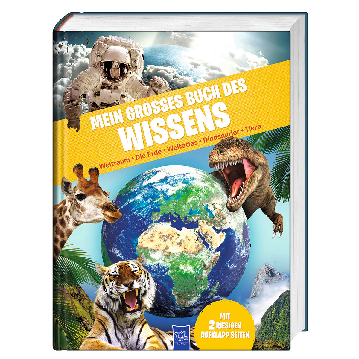 Mein großes Buch des Wissens von Yoyo Books