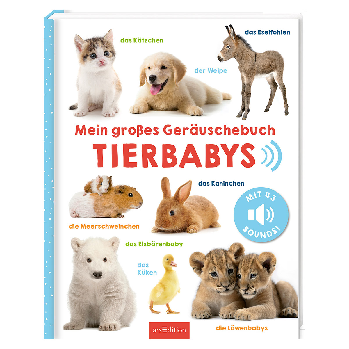 Mein großes Geräuschebuch - Tierbabys Mein großes Geräuschebuch - Tierbabys von Ars Edition GmbH